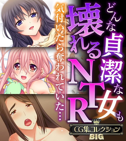 【単行本】どんな貞潔な女も壊れるNTR〜気付いたら奪われていた…〜【CG集コレクションBIG】❤大人のSEXY絵本