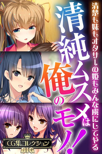 【単行本】清純ムスメは俺のモノ！〜清楚も妹もオタサーの姫もみんな虜にしてやる〜【CG集コレクションBIG】❤大人のSEXY絵本