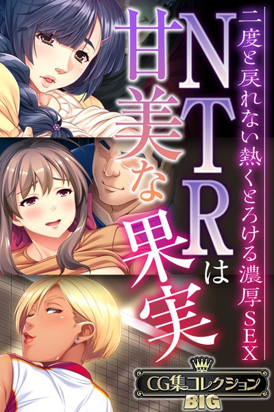 【単行本】NTRは甘美な果実〜二度と戻れない熱くとろける濃厚SEX〜【CG集コレクションBIG】❤大人のSEXY絵本