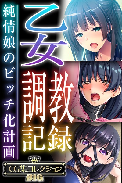 【単行本】乙女調教記録〜純情娘のビッチ化計画〜【CG集コレクションBIG】❤大人のSEXY絵本