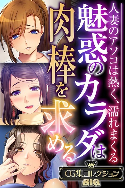 【単行本】魅惑のカラダは肉棒を求める〜人妻のアソコは熱く、濡れまくる〜【CG集コレクションBIG】❤大人のSEXY絵本