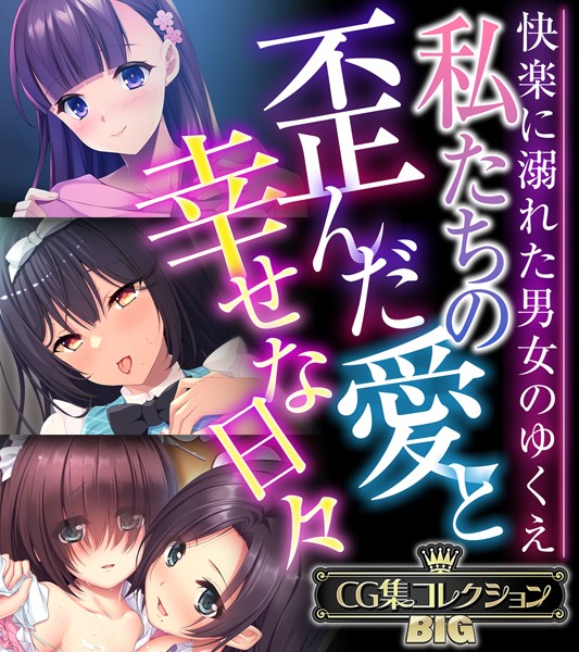 【単行本】私たちの歪んだ愛と幸せな日々 〜快楽に溺れた男女のゆくえ〜【CG集コレクションBIG】❤大人のSEXY絵本
