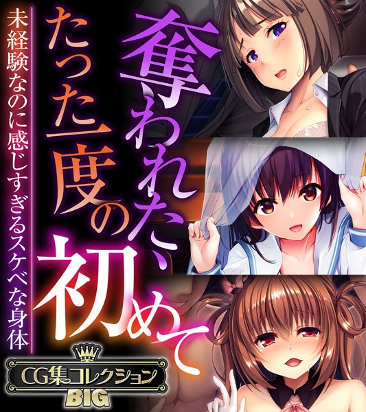 【単行本】奪われた、たった一度の初めて 〜未経験なのに感じすぎるスケベな身体〜【CG集コレクションBIG】❤大人のSEXY絵本
