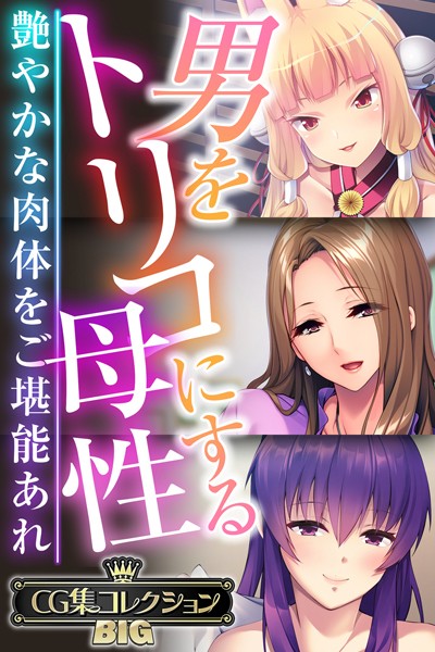 【単行本】男をトリコにする母性 〜艶やかな肉体をご堪能あれ〜【CG集コレクションBIG】❤大人のSEXY絵本