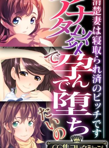 【単行本】アナタ以外で孕んで堕ちたいの 〜清楚妻は寝取られ済のビッチです〜【CG集コレクション】❤大人のSEXY絵本
