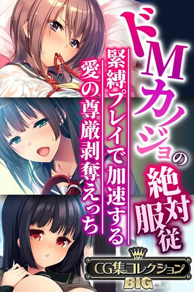 【単行本】ドMカノジョの絶対服従 〜緊縛プレイで加速する愛の尊厳剥奪えっち〜【CG集コレクションBIG】❤大人のSEXY絵本