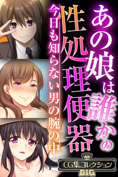 【単行本】あの娘は誰かの性処理便器 〜今日も知らない男の腕の中〜【CG集コレクションBIG】❤大人のSEXY絵本