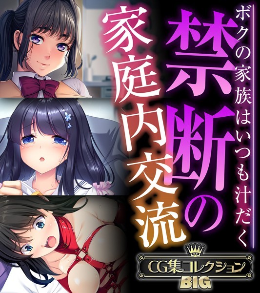 【単行本】禁断の家庭内交流 〜ボクの家族はいつも汁だく〜【CG集コレクションBIG】❤大人のSEXY絵本