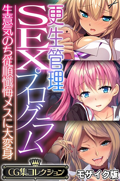 【フルカラー】更生管理SEXプログラム 〜生意気のち従順懺悔メスに大変身〜【CG集コレクション】 モザイク版❤大人のSEXY絵本