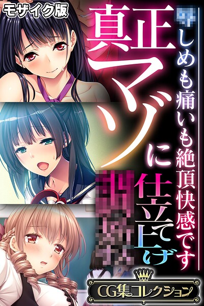 【フルカラー】真正マゾに仕立て上げ●● 〜●しめも痛いも絶頂快感です〜【CG集コレクション】 モザイク版❤大人のSEXY絵本
